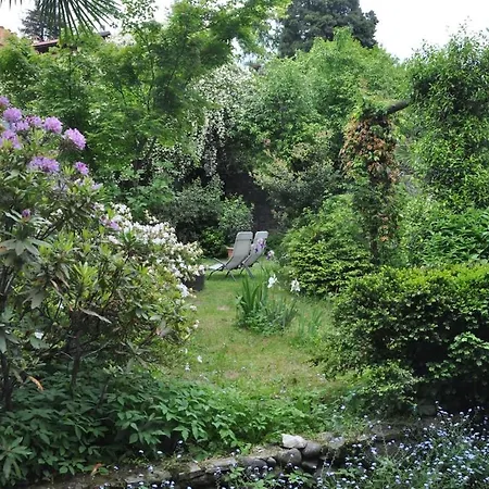 Maggiore - - Piano Terra - La Casaccia Verbania
